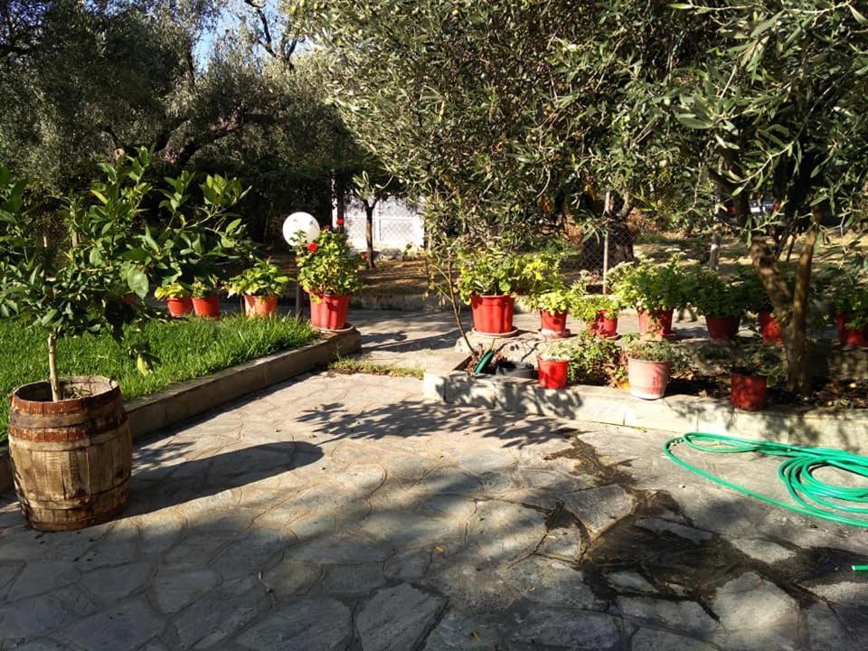 Villa Asimidou Agia Paraskevi  Bagian luar foto