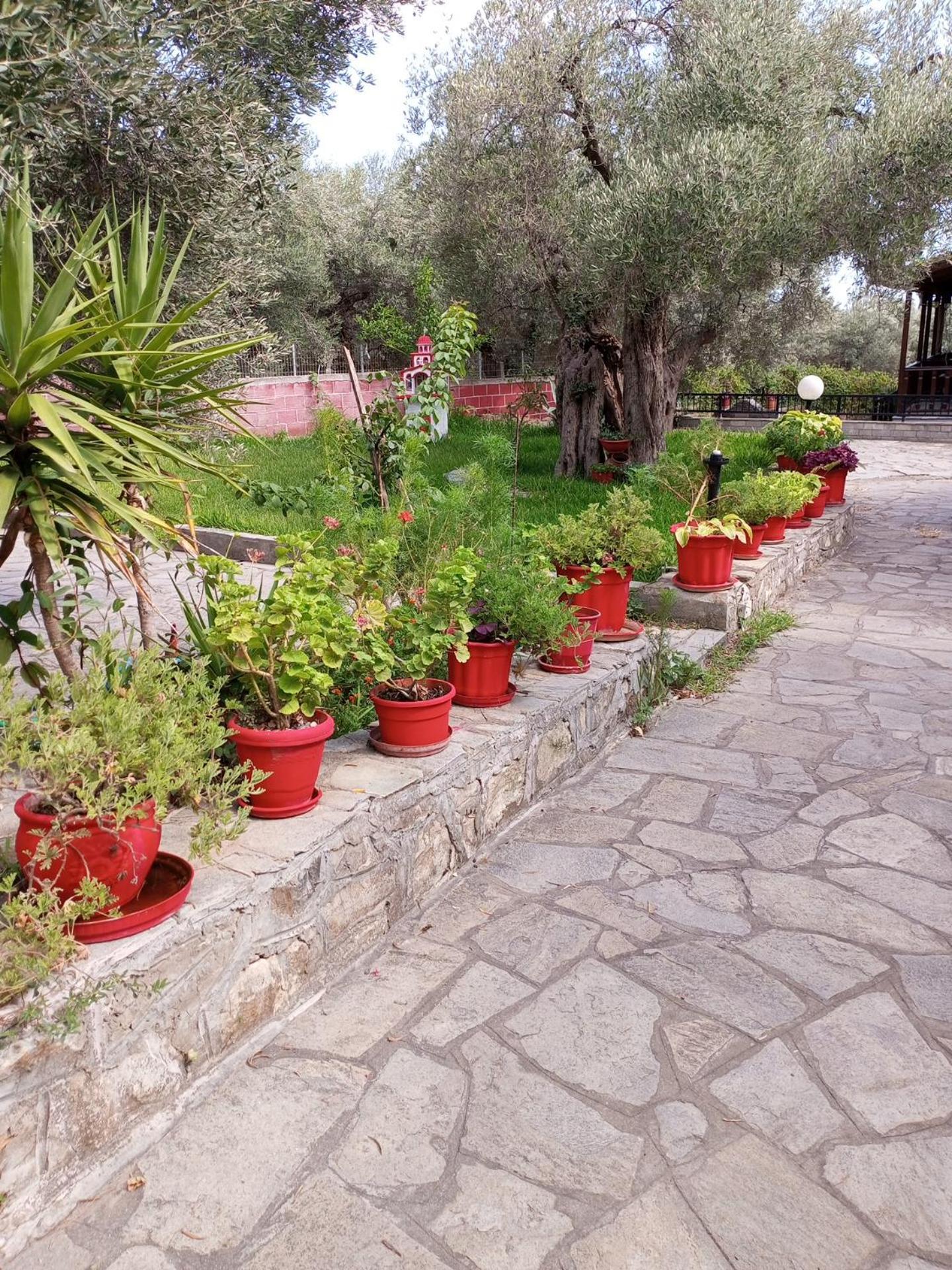 Villa Asimidou Agia Paraskevi  Bagian luar foto