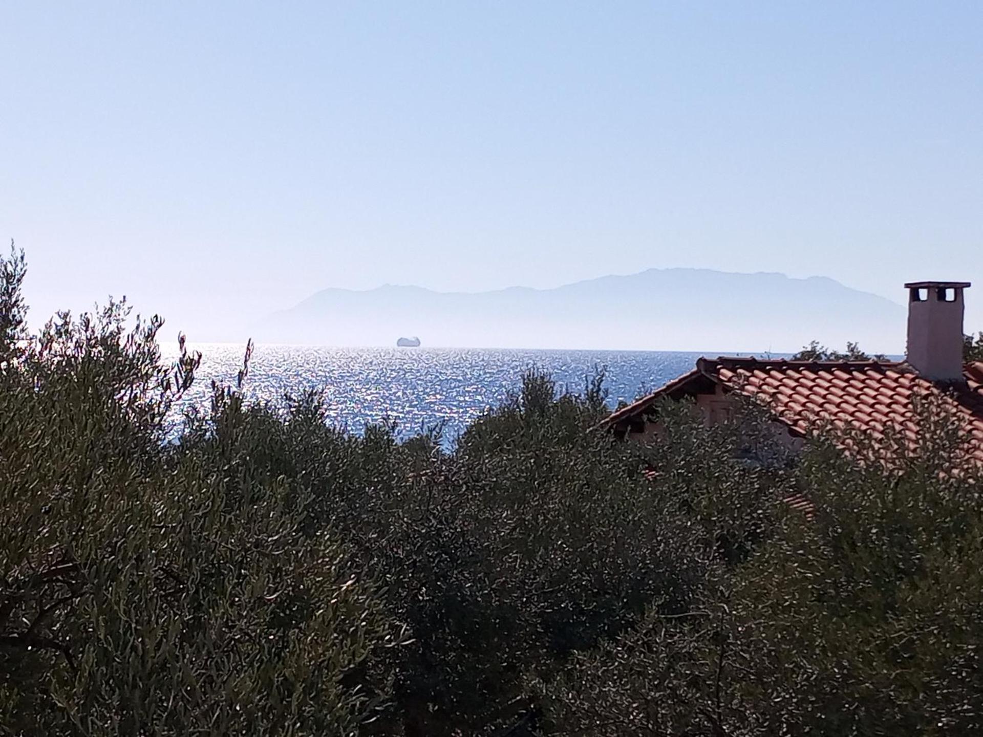 Villa Asimidou Agia Paraskevi  Bagian luar foto